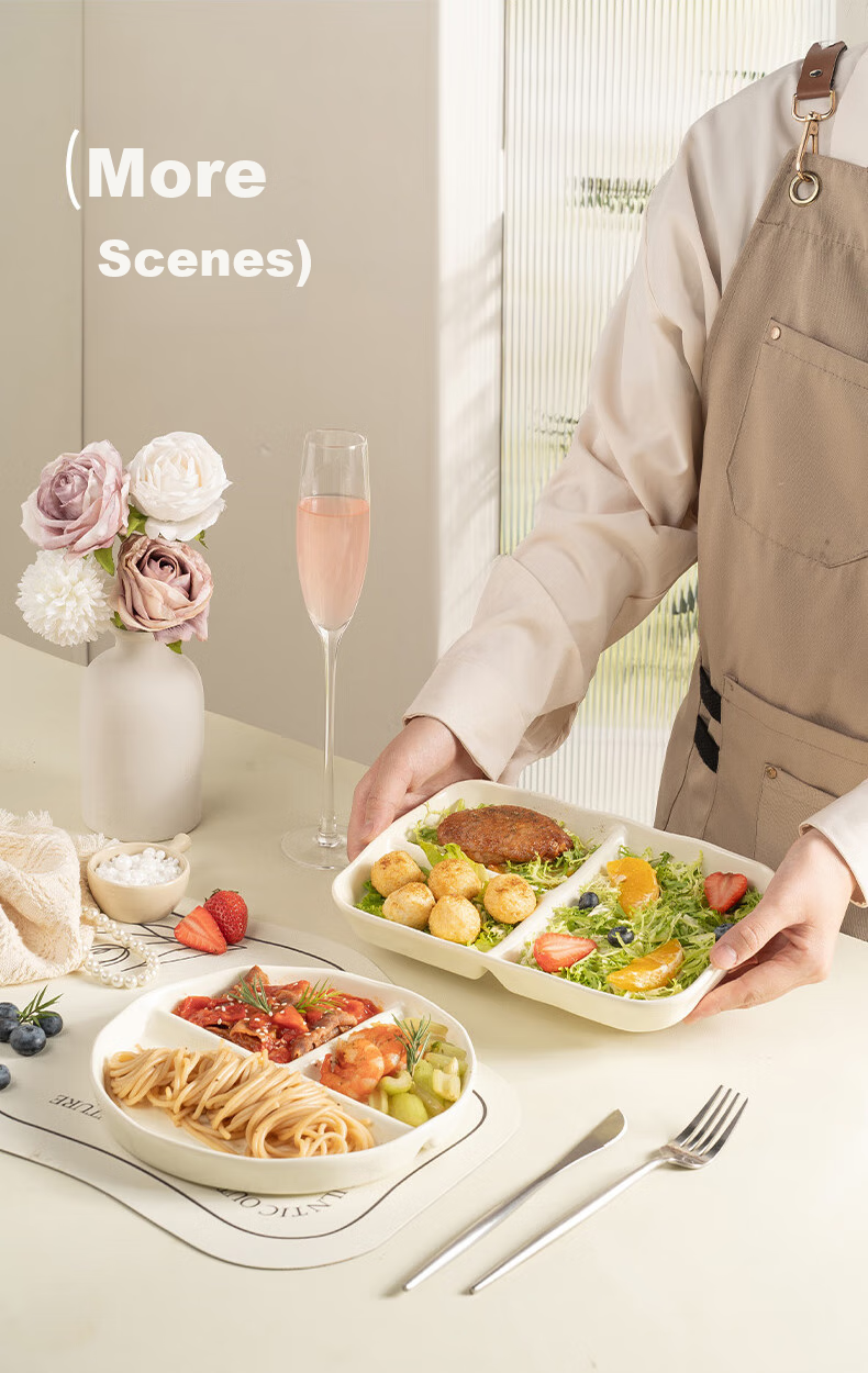 CAIZHI Ceramic Divided Plate, Compartmentalized Dining Plate, Student Breakfast Plate, Dumpling Plate, Fruit Plate, 211 Low-Fat Plate CZ6968 13