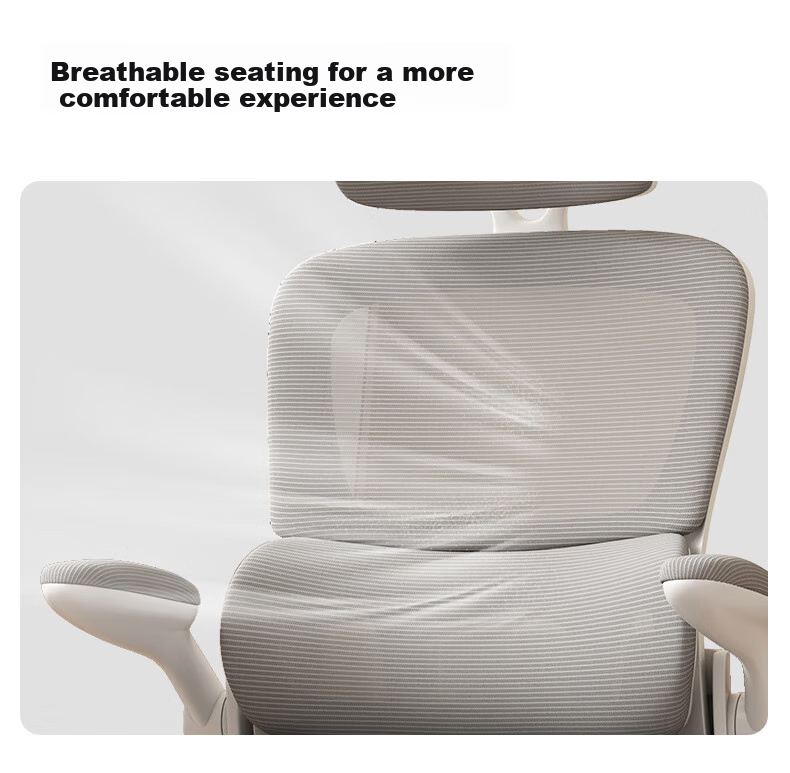 Zhuobo Computer Chair, Home Study Chair, Adjustable Height Chair, Seat Chair with Backrest, BT25 Gray, Height Adjustable 11