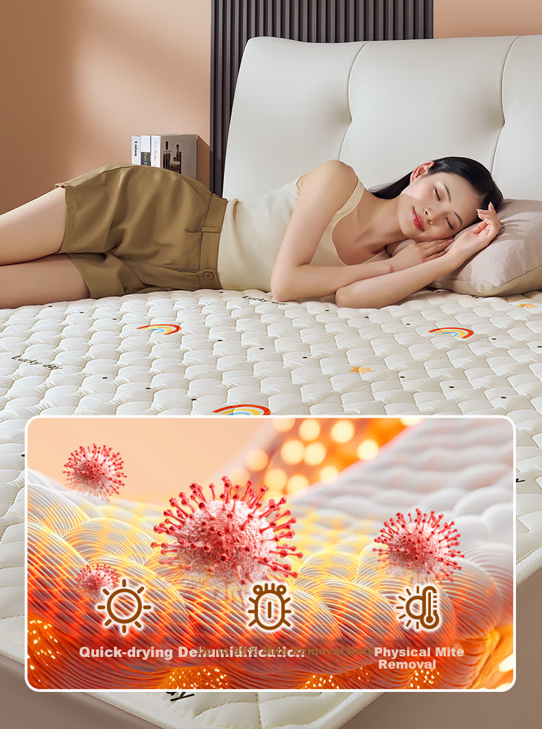 CHIGO [Dehumidifying And Mite-Removing] Graphene Double-Sided Dual Temperature Control Waterproof 3C Certified Electric Heating Blanket Mattress Pad 1.5x1.8m 13