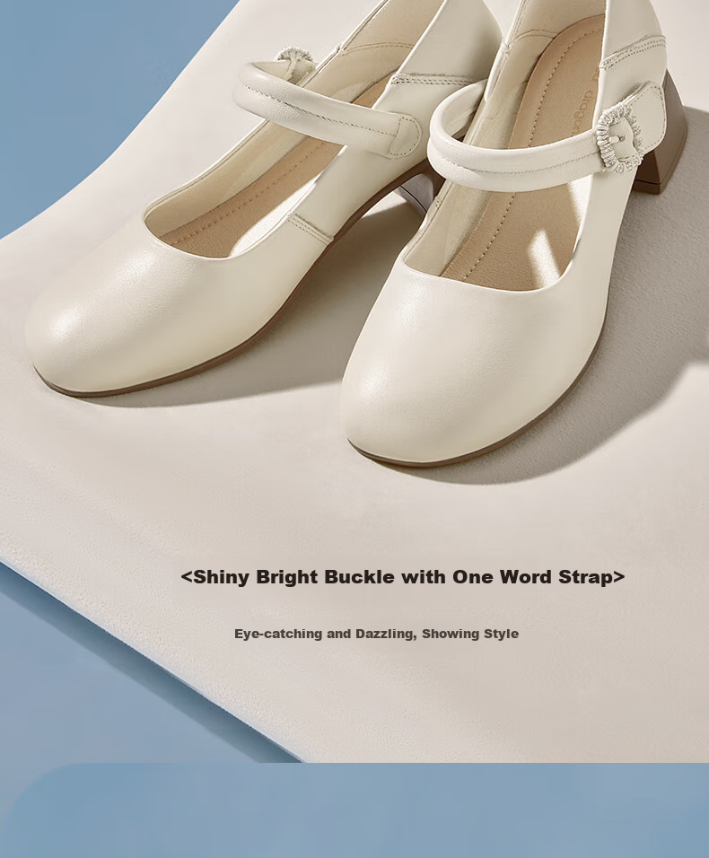 RED DRAGONFLY Shallow Women's Flats, Spring Women's Shoes, Mary Jane Thick Heel Comfortable Women's Shoes WJB15806 Beige 40 5
