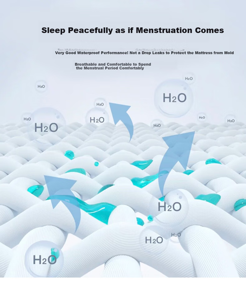 Hodo Class A Fitted Sheet Single Piece, Mattress Protector Cover, Anti-Dirt Non-Slip Full Coverage Bed Cover, Protective Cover, 1.8*2m, Guest Blue 9