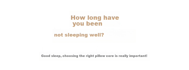 LUOLAI Home Textiles Pillow Core, 100% Cotton Washable Class A Antibacterial Soybean Pillow Core Cervical Pillow, Pack of Two 2