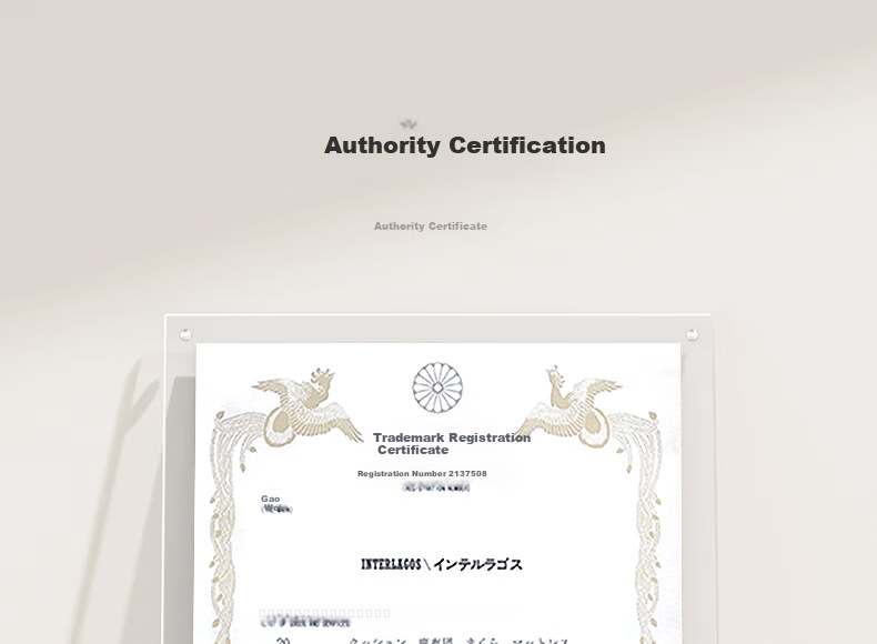 Interlagos Class A 90% White Goose Down Comforter, Imported from Japan, Air Conditioning Quilt, 280g, 200*230cm, White 30