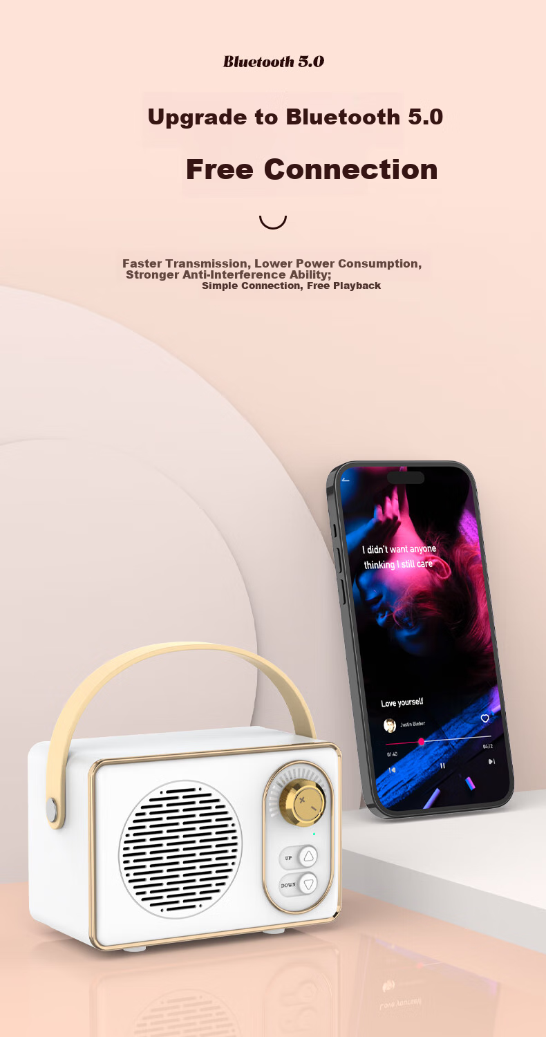 Weizhi Wireless Portable Bluetooth Speaker, Cute Retro Mini Sound System for Home Use, Metal Subwoofer DZ-004 White 2