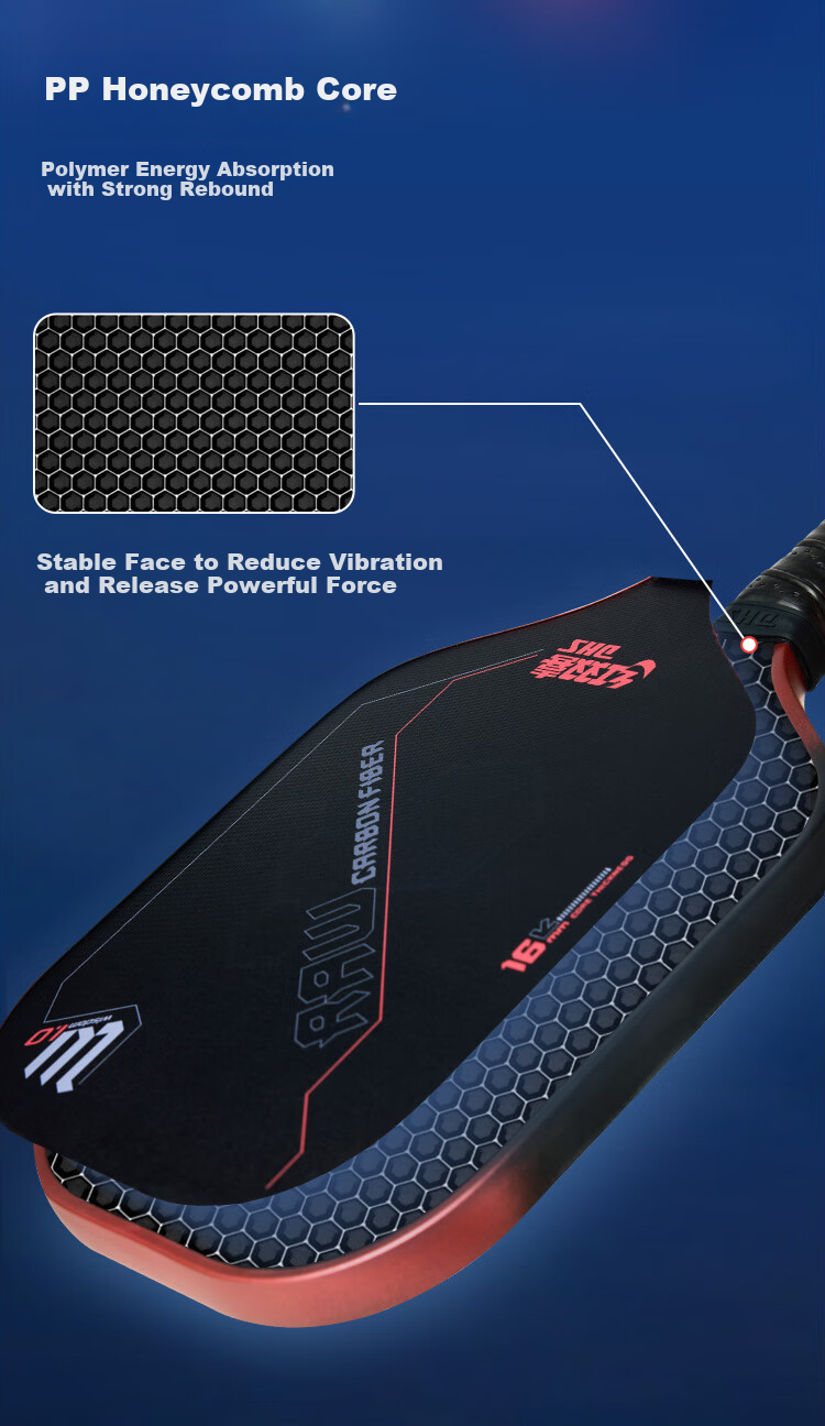 DHS Intelligent Offensive Carbon Fiber DHS Paddle Tennis Racket, Sports 4