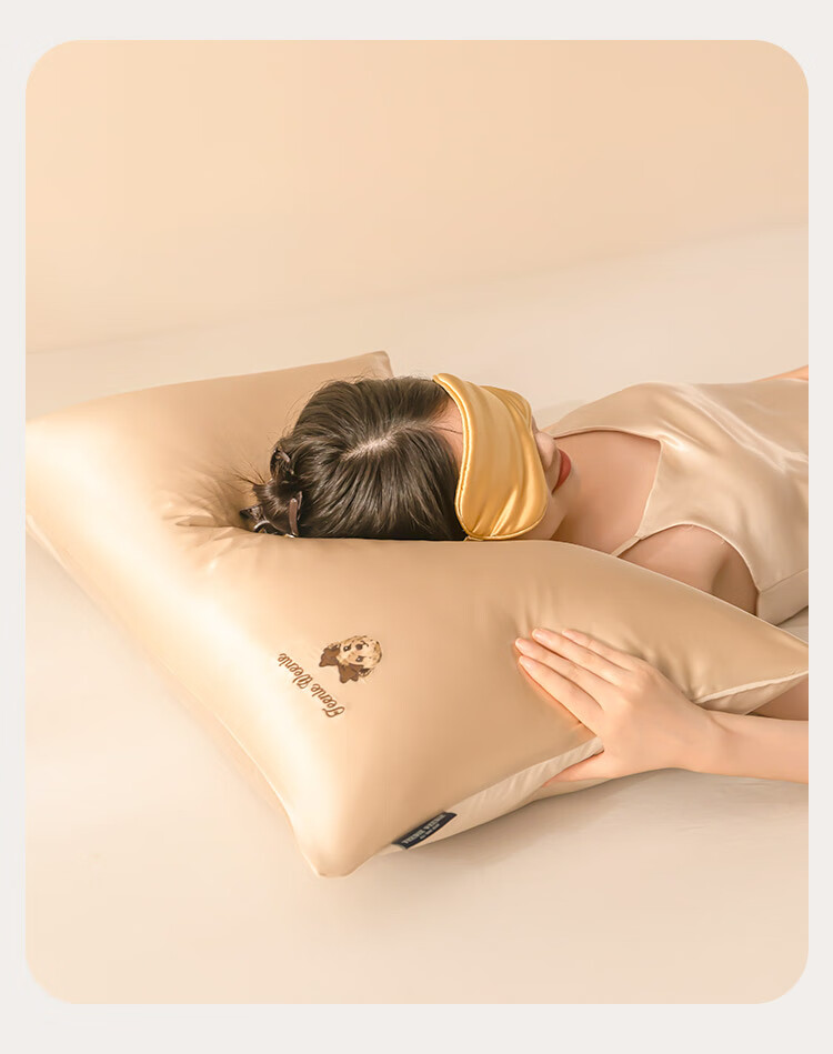 Teenie Weenie Bear Silk Pillowcase A Grade 100% Mulberry Silk 19 Momme Champagne Single Pillowcase 1