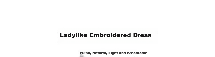 Mt [Pure Cotton Confession] Summer Sweet Fresh V-Neck Embroidered Elegant A-Line High-End Petite White Dress 3