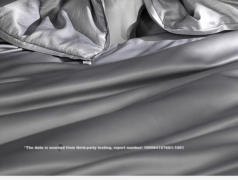 Shuixingjiafang Silk Comforter, 100% Silk Winter Quilt, Winter Double-Layer Quilt, Two-In Duvet Insert, Approximately 8.8 Jin, 200×230cm 21