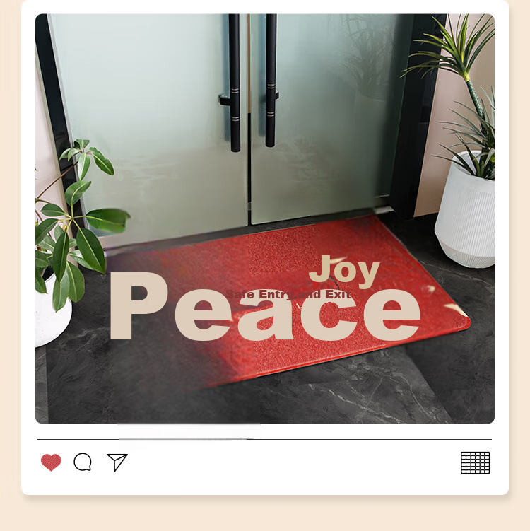JD Original Ping'an Xile Silk Loop Entrance Mat, Doorway Foot Mat, Non-Slip Dust Removal Mat for Entryway, 80x120cm 12