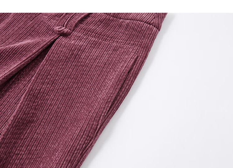 Demana Pear-Shaped Autumn Warm Plush Chenille Pleated Elegant Petite Wide-Leg Women's Casual Pants 3