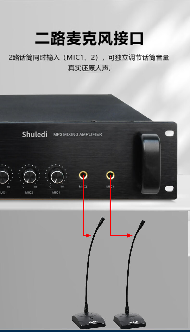Shuledi AV-2000 Domestic IP Amplifier Network Amplifier High Power Analog Network Cable Connection for School Factory Remote Paging Intercom (Power: 100W) 12