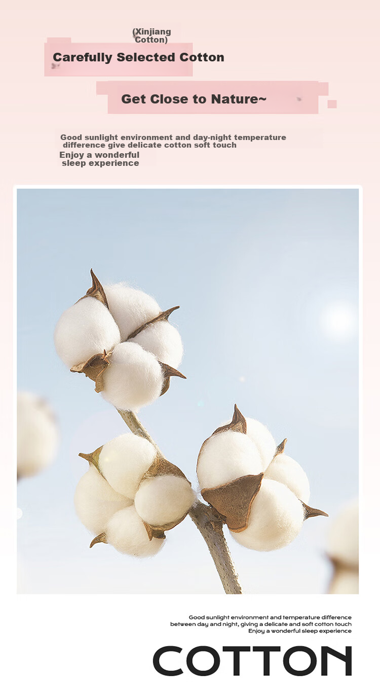 MUJI 100% Cotton 4-Piece Bedding Set for 1.5/1.8m Bed, Pure Cotton Bed Sheet and Duvet Cover 200x230cm 5