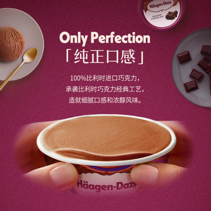 哈根达斯（Haagen-Dazs）比利时巧克力口味大桶冰淇淋473ml 家庭装 雪糕