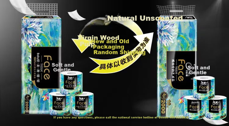 C&S Core Roll Toilet Paper, Art Oil Painting Face, 4-Ply, 200g*10 Rolls, Tissue Paper Roll, Whole Box, Back-To Essential 1