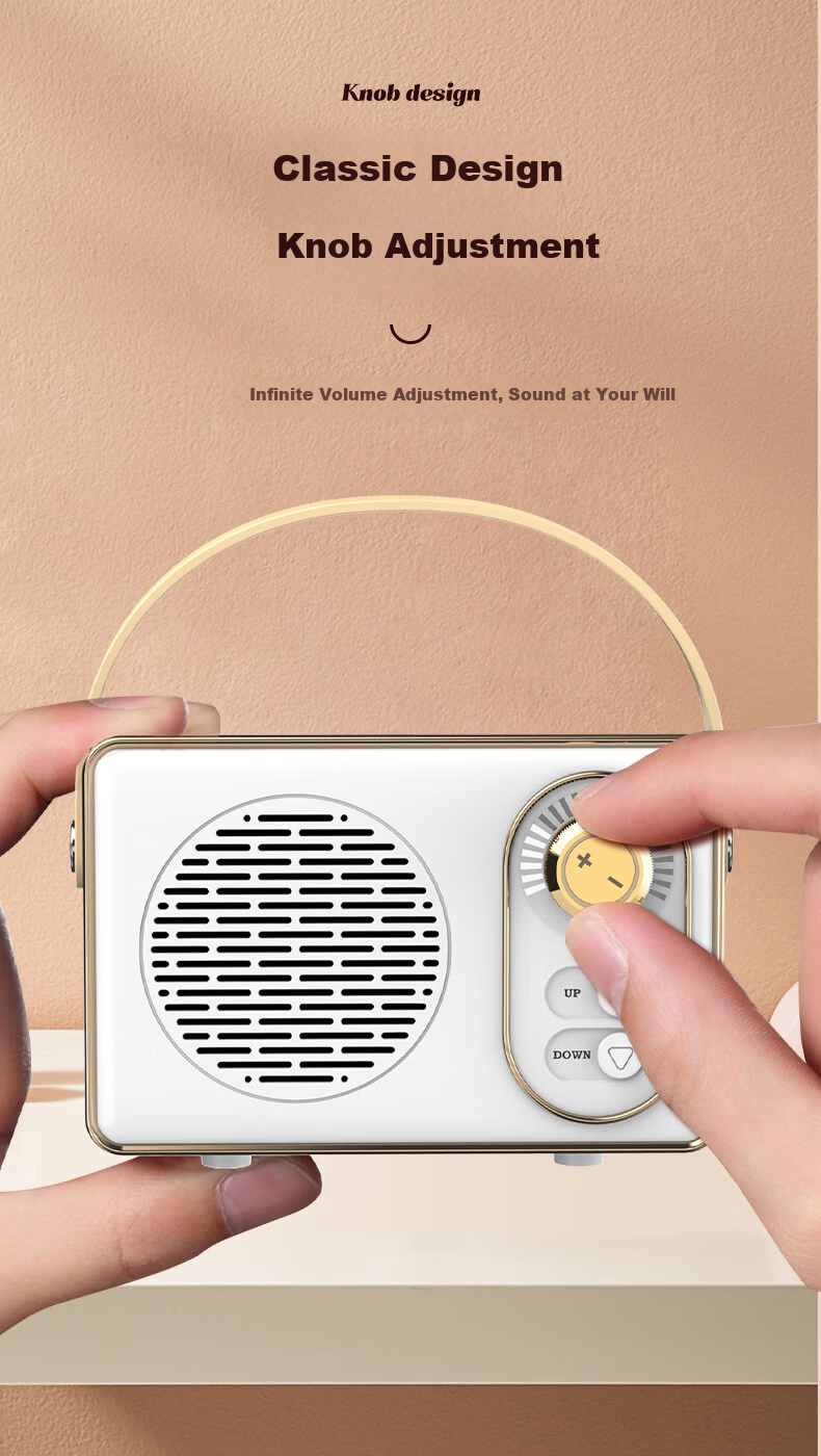 Weizhi Wireless Portable Bluetooth Speaker, Cute Retro Mini Sound System for Home Use, Metal Subwoofer DZ-004 White 5
