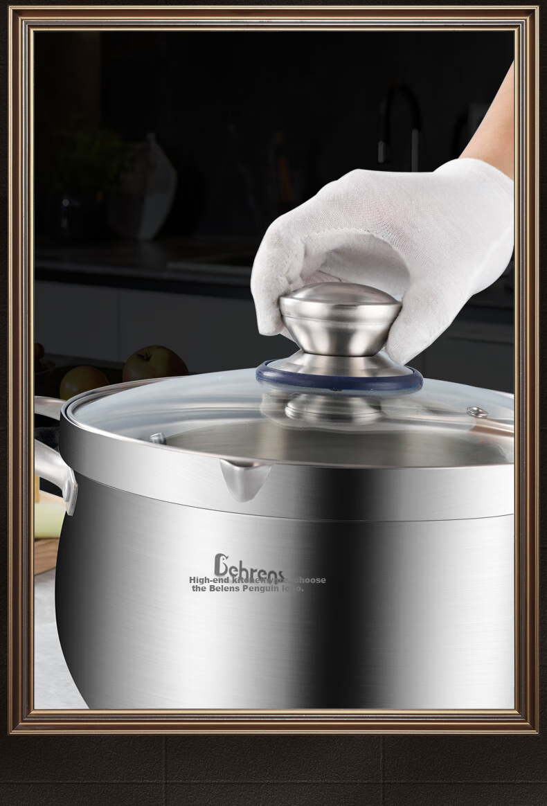 Beilunsi 304 Stainless Steel Soup Pot, Thickened Double-Handled, for Home Use on Gas Stove And Induction Cooker, for Stewing And Making High-Soup Pot with Steamer, 24CM 16