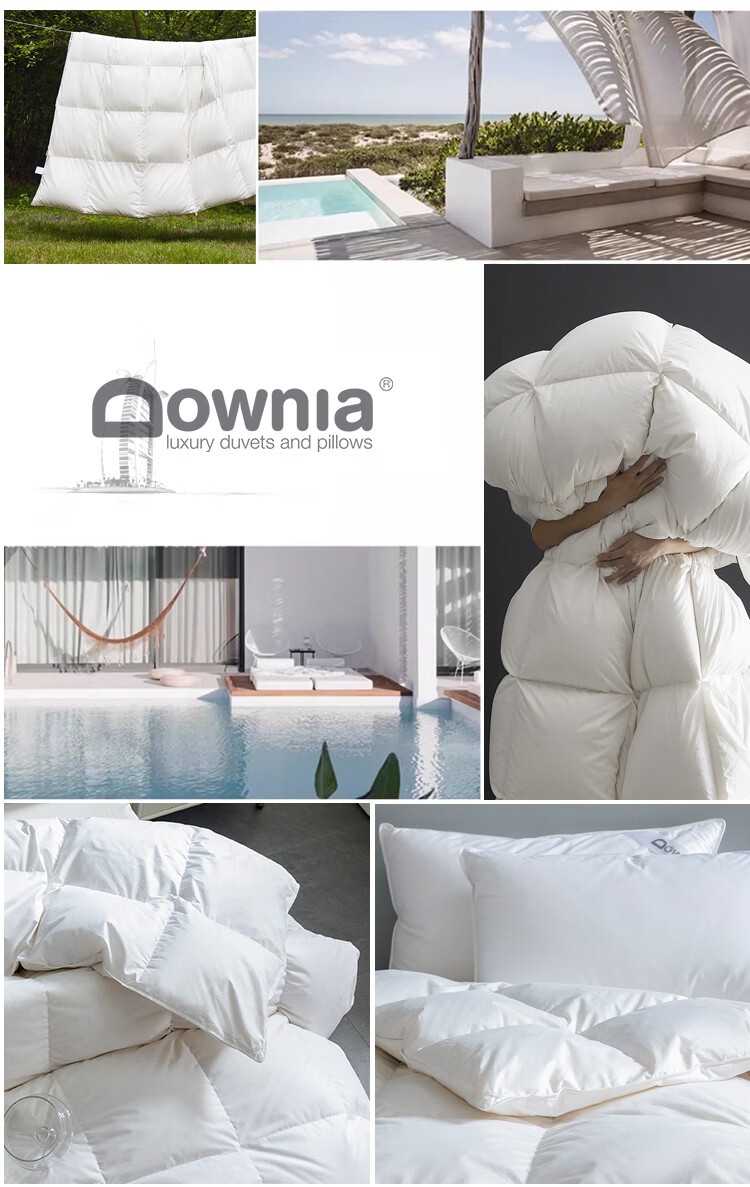 Downia 100-Count Pure Cotton Antibacterial 95% White Goose down Duvet Insert, Spring And Autumn Comforter, Filled with 450 Grams, 220*240CM 3