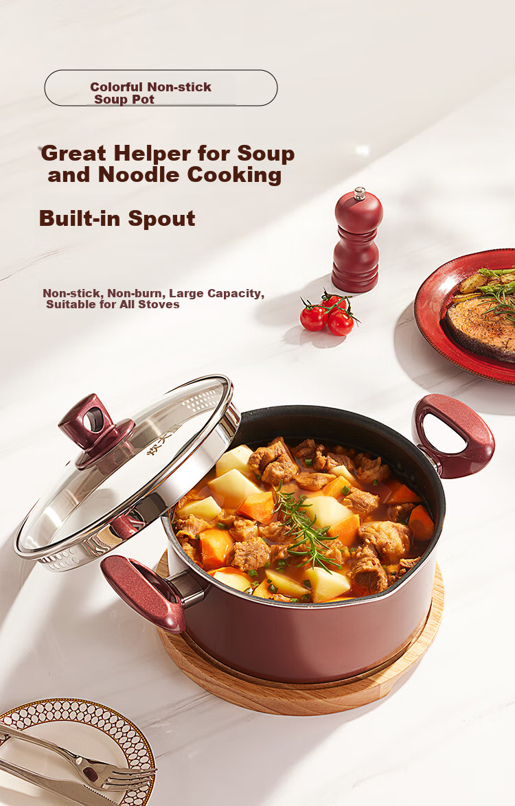 COOKER KING Non-Stick Soup Pot Easy-To for Stewing, Cooking Porridge, Milk Pot 22cm Compatible with Induction Cooker Colorful WG14320 1