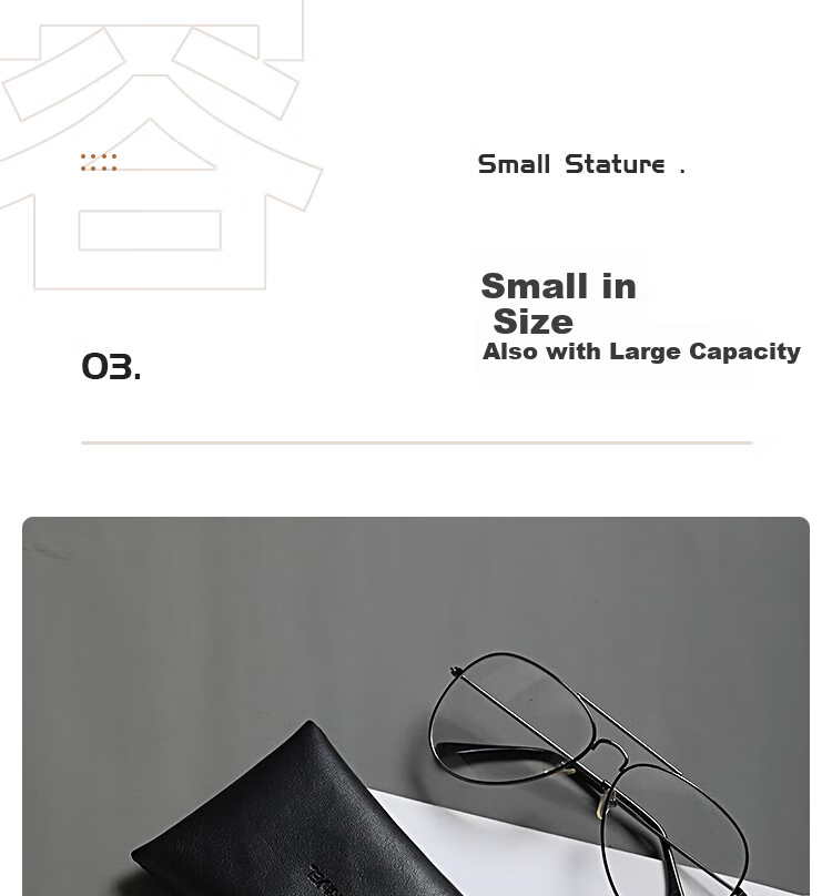 Lehuolvxing Eyeglass Storage Case, Portable Sunglasses Box, Automatic Closing Small Box, Eye Case for Men, Anti-Scratch And Anti-Pressure Sunglasses Pouch 4