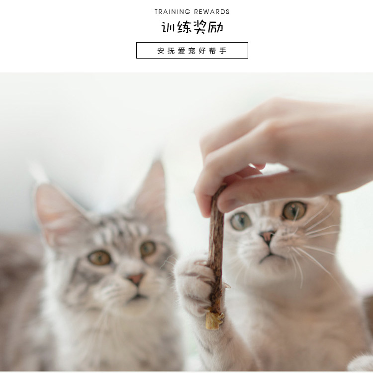 木天蓼洁齿棒_06.jpg