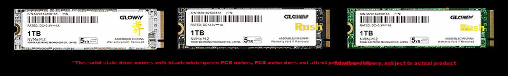 Gloway 1TB SSD, M.2 Interface (NVMe Protocol), PCIe 4.0x4, 7450MB/s, Yangtze Memory TLC Particles, Bo Series 2