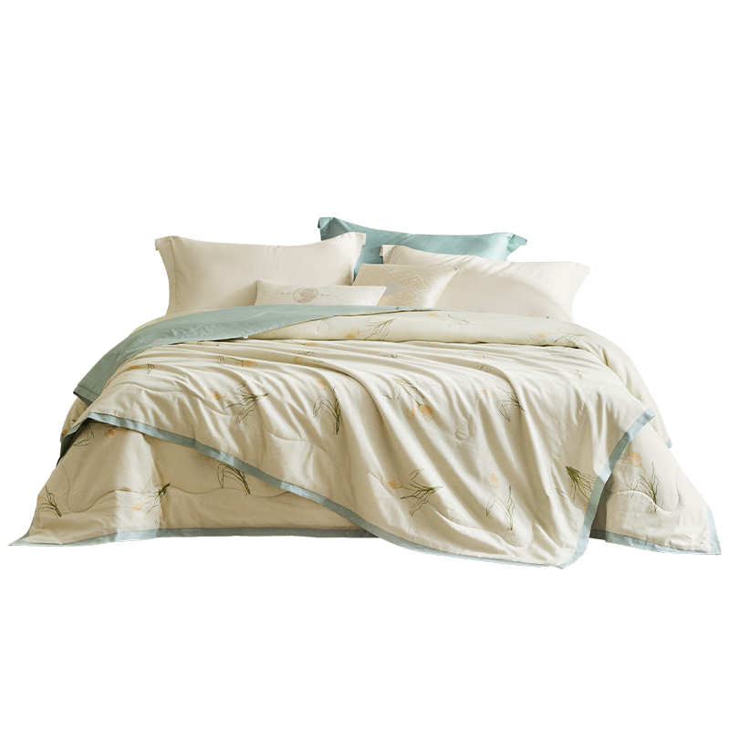 Luolai Home Textile Machine Washable 100% Silk Quilt Cotton A-Class Antibacterial Silk Double Quilt Core Approx. 7.8 Jin 200*230cm