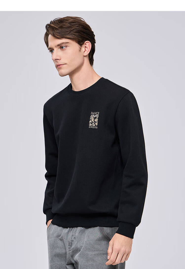 DANCING WOLVES [7A Antibacterial & Anti-Static] Exquisite Embroidery, Durable, Easy-Care, Skin-Friendly Comfortable Men's Sweatshirt, 503 Purple 4