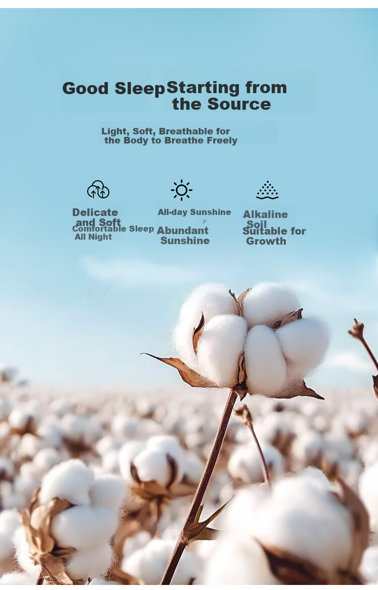 Taihu Snow 100% Silk Summer Quilt Cotton Washable Air Conditioning Quilt Class A Antibacterial Mite-Resistant Thin Summer Blanket 150*210cm 5