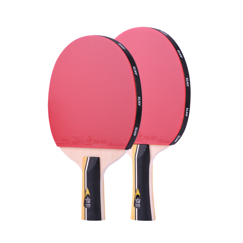 Anta 2-Star Table Tennis Racket (Jingcang Fast Delivery + 6 Balls + Racket Bag) P2 Horizontal and Vertical Table Tennis Paddle Set