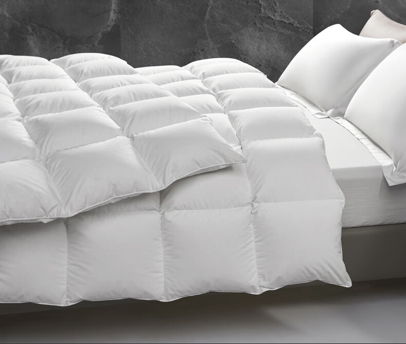 Wuyinliangpin 100% White Goose Down Comforter, Feather And down Duvet Winter Quilt Approximately 8 Jin [Filling 2800g] 200*230cm White 3