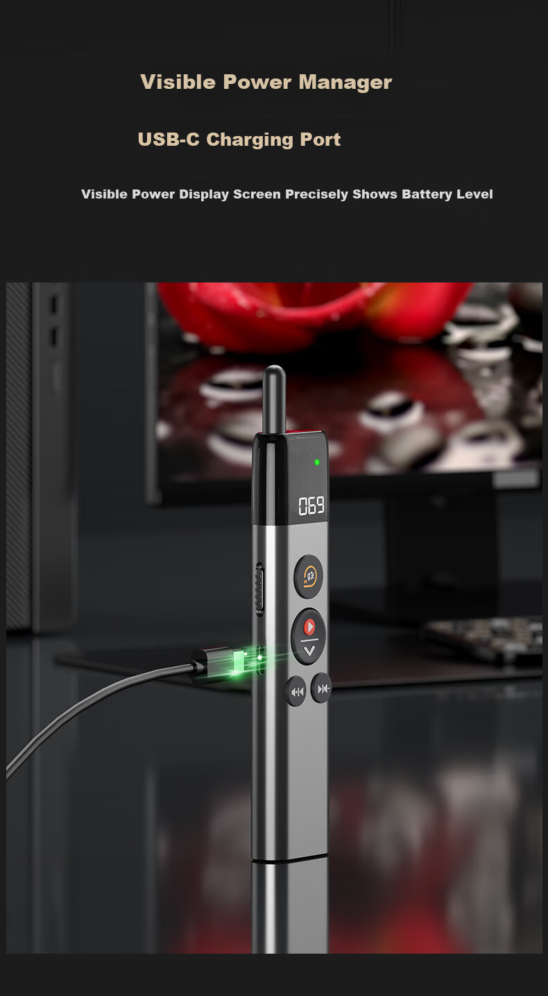 Whist 199 Red Light 32GB USB Flash Drive PPT Page-Turning Pen Laser Pointer Retractable Teaching Pointer Writing Pen Compatible with Seewo/Honghe Whiteboard All-In Touch Multimedia Presenter 9