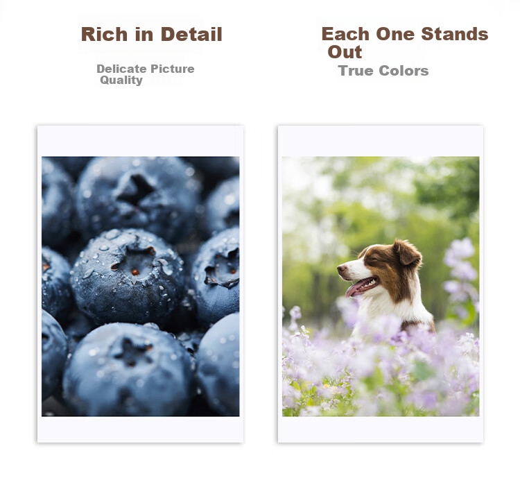 MI Mijia Pocket Photo Printing Paper, Thermal Dye Sublimation Set (20 Sheets), Compatible with Mijia Pocket Photo Printer Pro 3