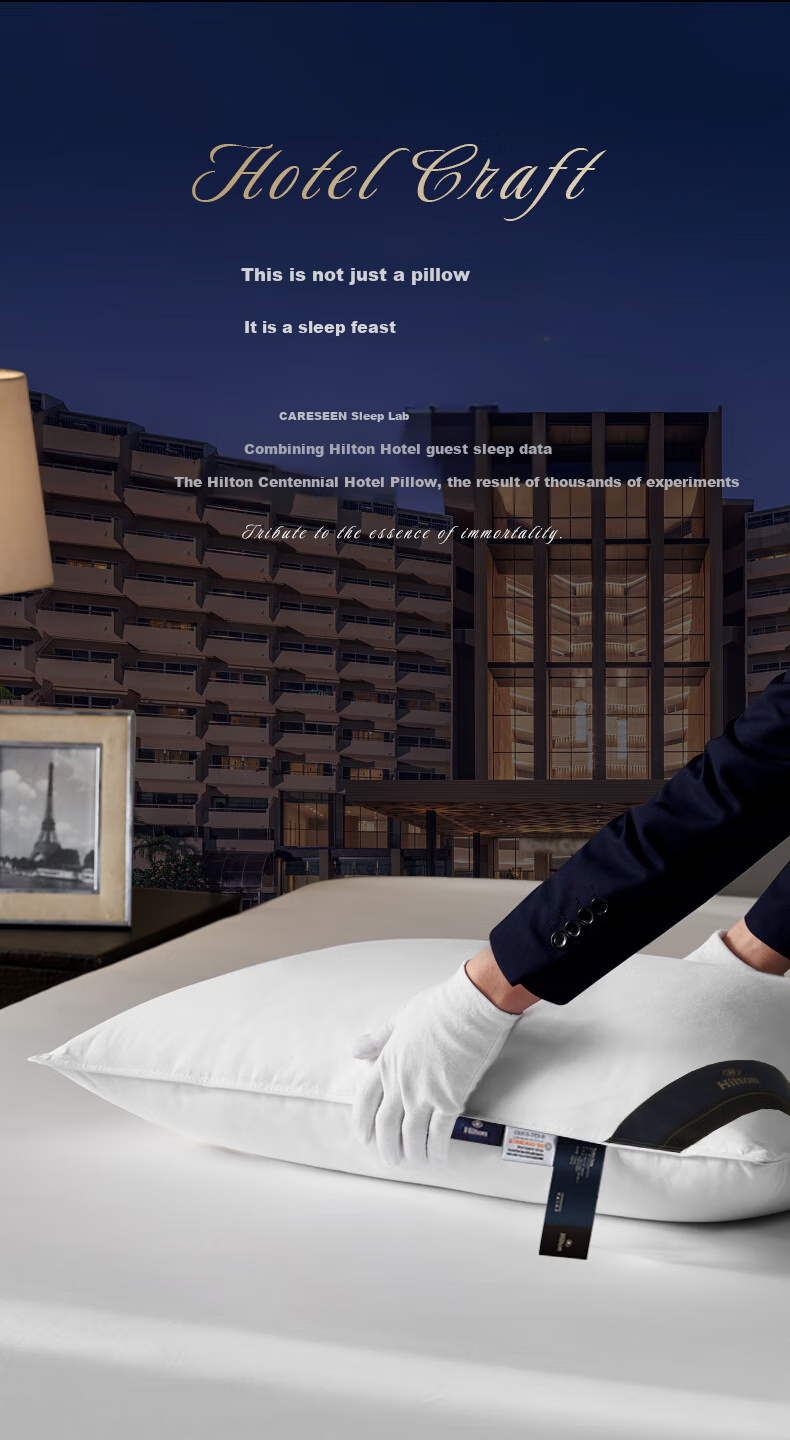 Canasin Pillow, Hilton Five-Star Hotel Down Pillow Class A 95% White Goose down Pillow, Single Piece 74*48cm 3