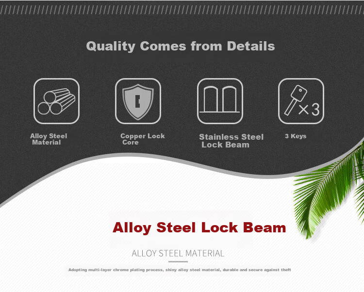 BLOSSOM Padlock for Warehouse, School, Home Use, Indoor And Outdoor Security Lock with Brass Core, Rust-Resistant Lock, 38mm BC1338 3