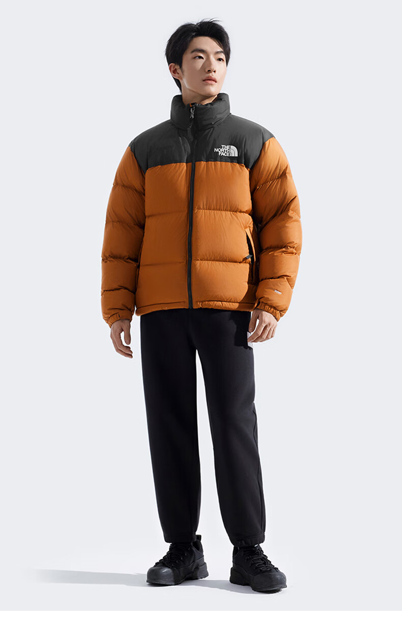 The North Face 96 Nuptse Classic High Loft Goose Down Jacket ICON Streetwear US Size S Black 1