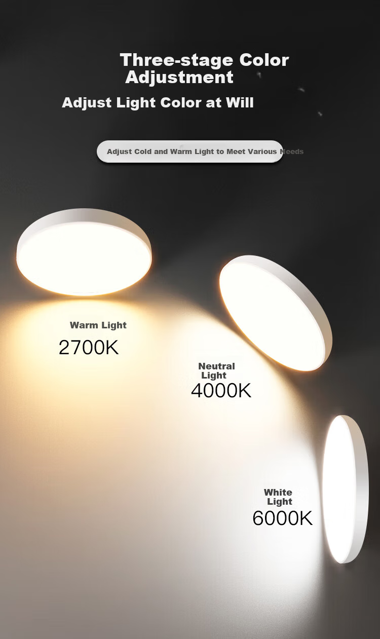 Foshanzhaoming Full-Spectrum Eye-Protection Ceiling Light, Photocatalyst Bedroom Lamp, High Ra97, Gentleman Black, 36W 12