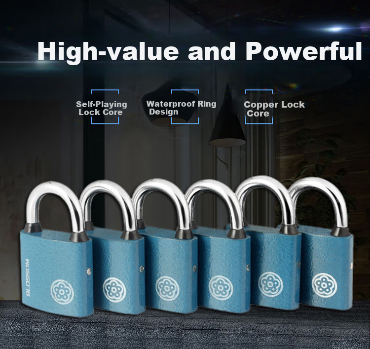 BLOSSOM Padlock, Drawer Lock, Toolbox Lock, Student Dormitory Cabinet Lock, Electric Meter Box Lock, Small Lock BC2925 Blue 25MM 1