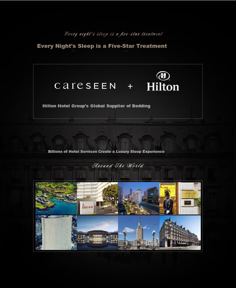 Canasin Pillow, Hilton Five-Star Hotel Down Pillow Class A 95% White Goose down Pillow, Single Piece 74*48cm 2