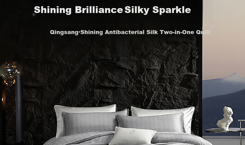 Shuixingjiafang Silk Comforter, 100% Silk Winter Quilt, Winter Double-Layer Quilt, Two-In Duvet Insert, Approximately 8.8 Jin, 200×230cm 2