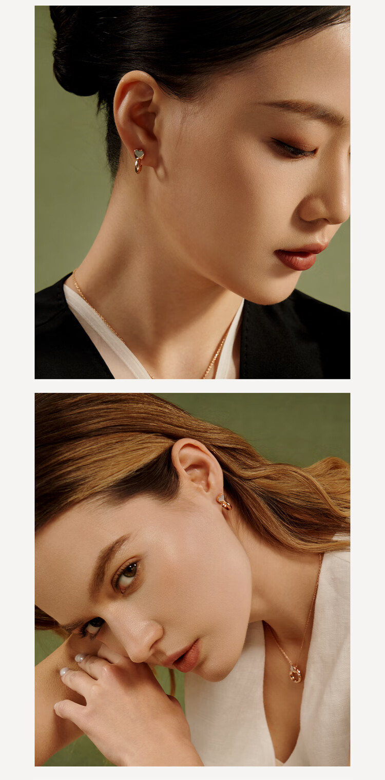 Dukou Rose Earrings for Women, Elegant And Luxurious, Fashionable Niche Studs, Practical Birthday Gift for Girlfriend Or Wife 1