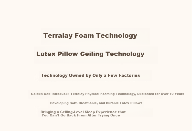 Jinxiangshu Tralai Latex Pillow, Thai Natural Imported Cervical Adult Rubber Sleeping Pillow, One Pair 2