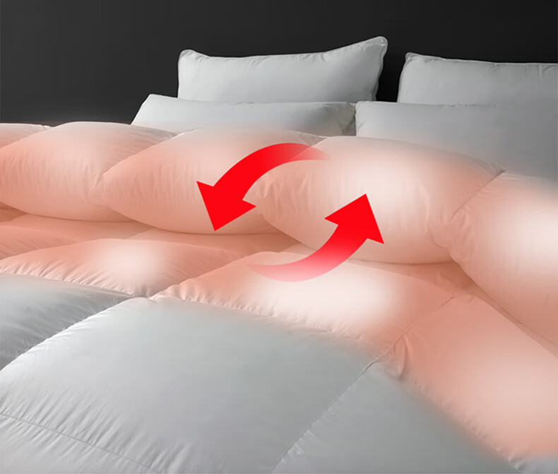 Wuyinliangpin 100% White Goose Down Comforter, Feather And down Duvet Winter Quilt Approximately 8 Jin [Filling 2800g] 200*230cm White 15