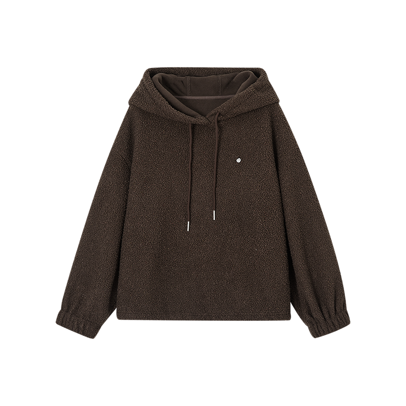 Demana [Relaxed Urban] Winter Warm Faux Lambswool Hooded Colorblock Drawstring Long Sleeve Loose Comfortable Women's Sweatshirt