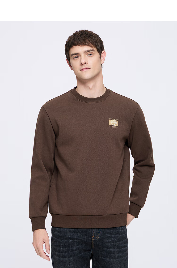 DANCING WOLVES Infrared Heating Embroidered Fleece Lined Thermal Sweatshirt for Men 004 Heather Gray S 4