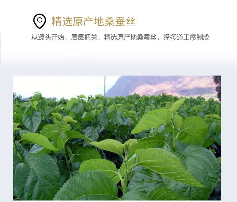 桑蚕丝被_03.jpg