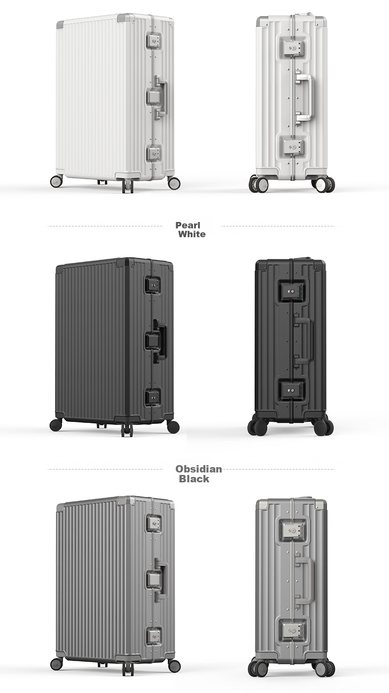 ROAMING Luggage Suitcase Large Capacity Stylish Travel Case for Men And Women with Password Lock And Leather Handle, 24-Inch Champagne Gu 17