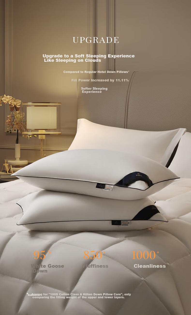 Canasin Hilton Pillow, All Goose Down, Five-Star Hotel Duvet, Class A 95% White Goose Down Pillow, Single Piece, 74*48cm 4