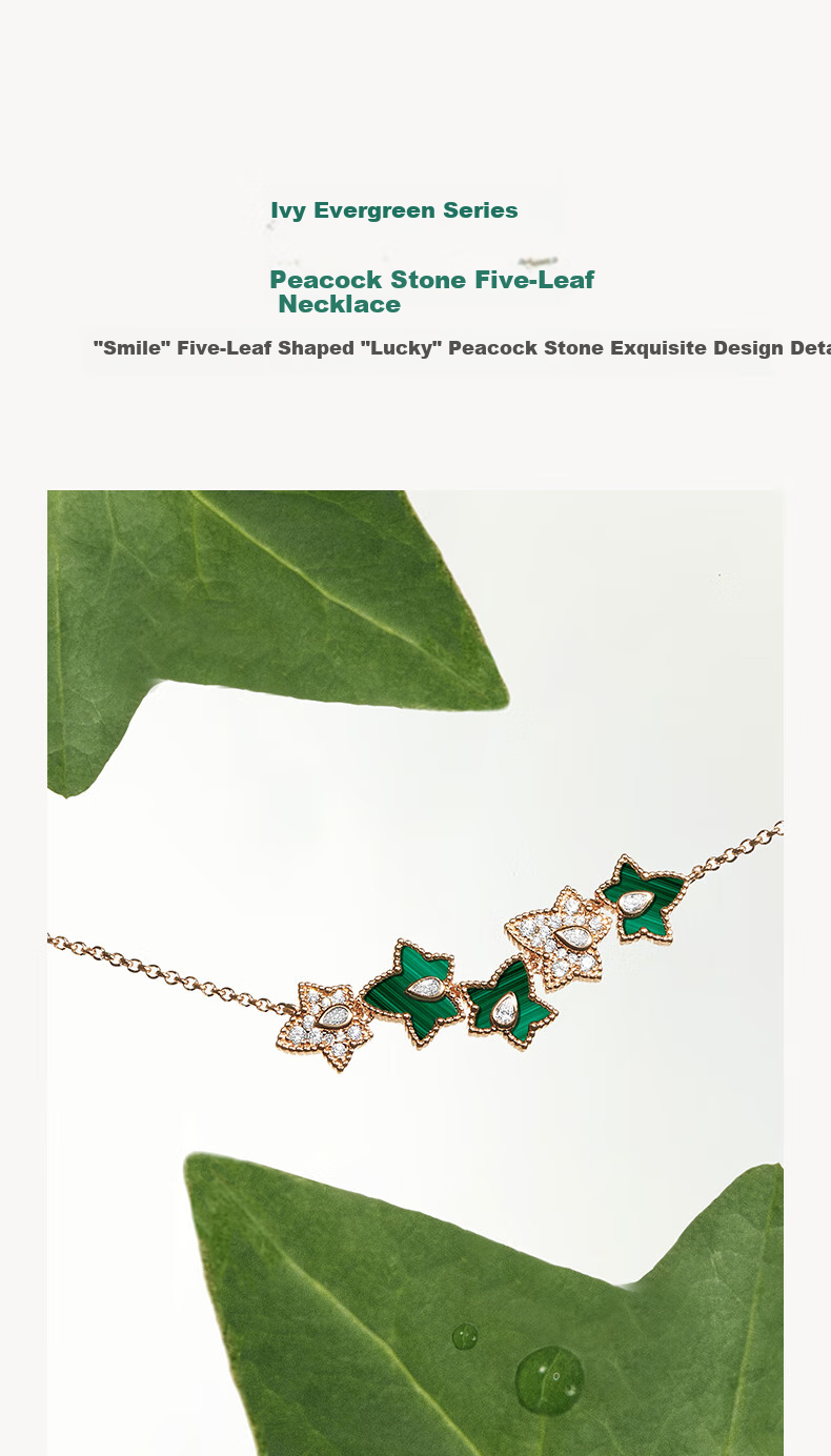 LOLA ROSE Evergreen Ivy Necklace for Women, Birthday Gift for Girlfriend, Wife, Or Best Friend 5