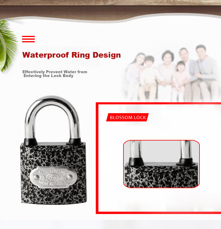 BLOSSOM Long Shackle Padlock, Door Lock, Warehouse Cabinet Lock, Indoor And Outdoor Universal Lock, 38MM, Anti-Theft Window Lock, 1338L 6
