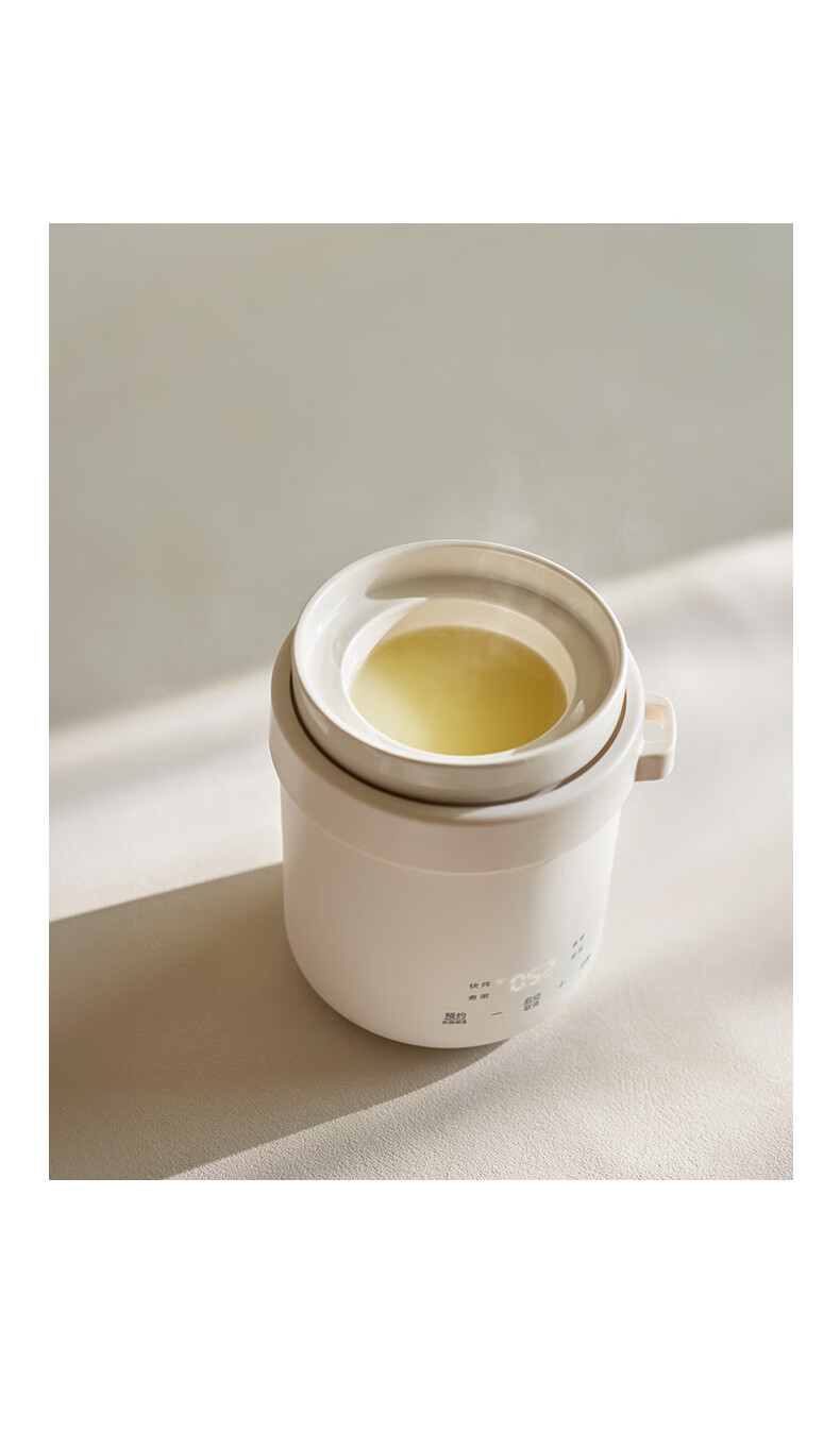 Olayks Instant Electric Stew Pot Baby Food Cooker 0.6L Mini Rice Cooker for 1-2 People 19